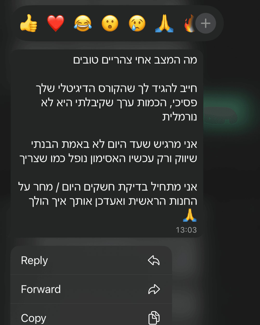 צילום מסך · תלמיד · ערך לא נורמלי